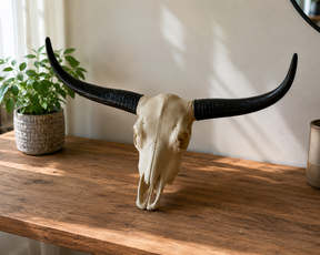 Long Horn Agro Decor – Parede ou Mesa