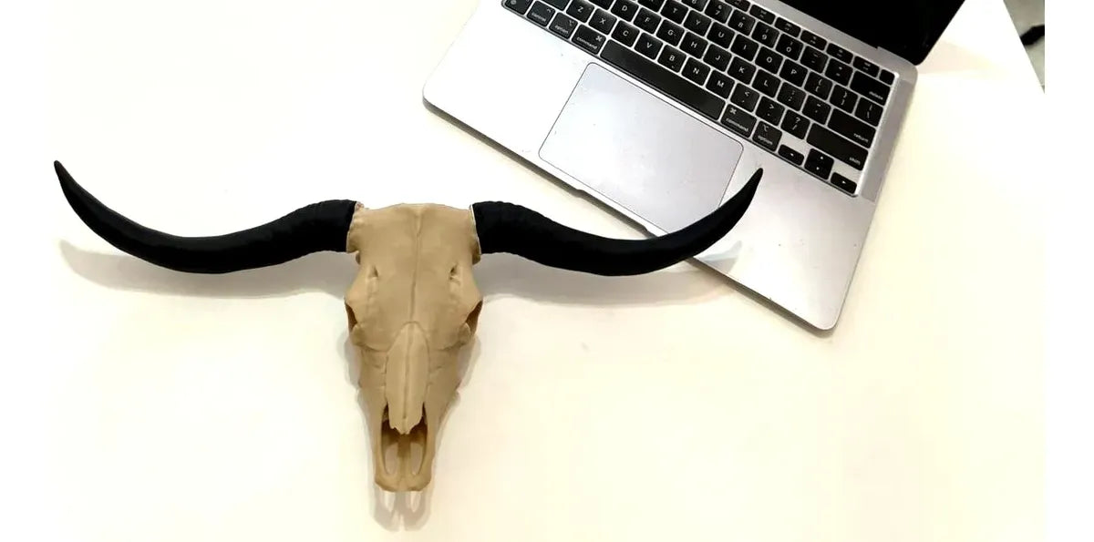 Long Horn Agro Decor – Parede ou Mesa